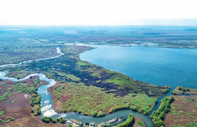 Insulă din inima Deltei Dunării, scoasă la licitaţie cu 350.000 de euro