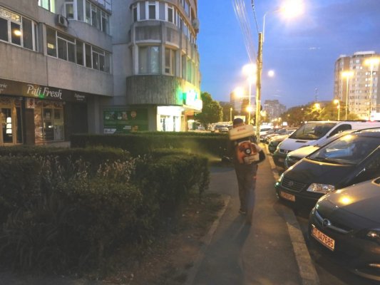 DEZINSECȚIE în Constanța! Toate cartierele, luate la picior de echipele primăriei!