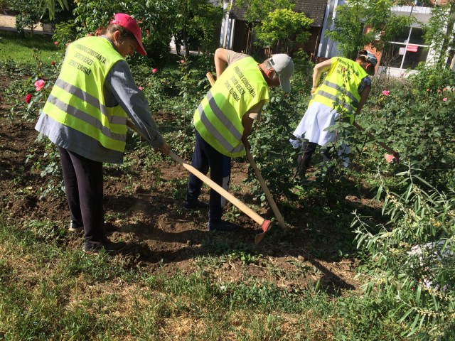 Lucrări de igienizare și cosit în cartierele din Constanța