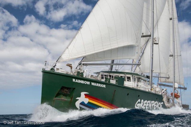 Nava Greenpeace a ajuns în Portul Constanța! ACCES GRATUIT pentru cine vrea să o viziteze!