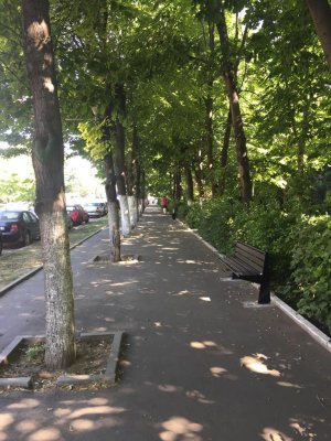 Asistaţii sociali din Constanţa, puşi la muncă! Au igienizat mai multe zone din oraş