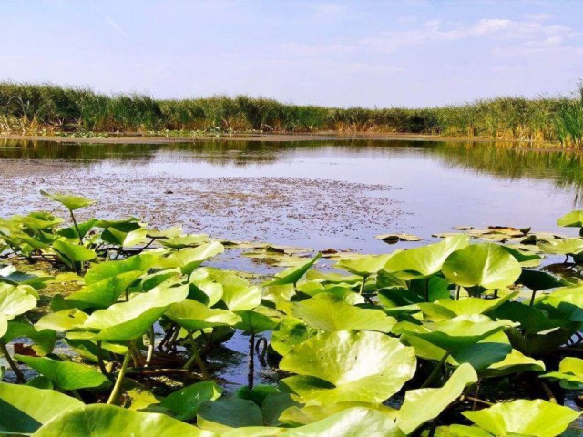 Numărul turiștilor din Dela Dunării în continuă creștere!