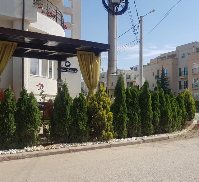 RECLAMAȚII și CONTROALE: TROTUAR OCUPAT în mod ABUZIV de un LOCAL, în Mamaia Sat!