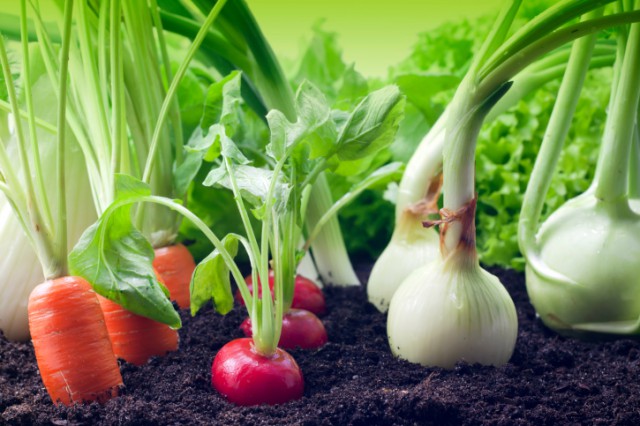 Botănoiu (MADR): România trebuie să ajungă la o suprafaţă de 500.000 de hectare certificate în agricultură bio până în 2021