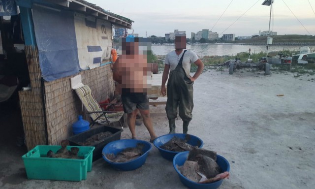 Peste 200 kg de calcan confiscate de poliţişti