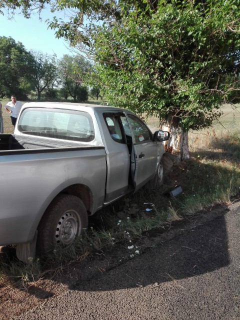 O șoferiță a MURIT după ce a intrat cu mașina în COPAC. VIDEO