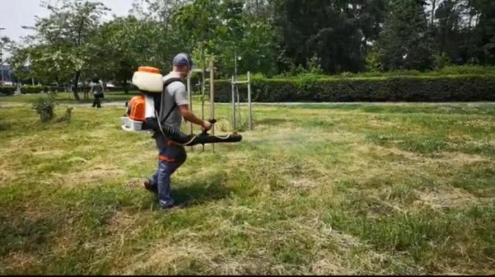Acţiunea de dezinsecţie în municipiul Constanţa continuă!