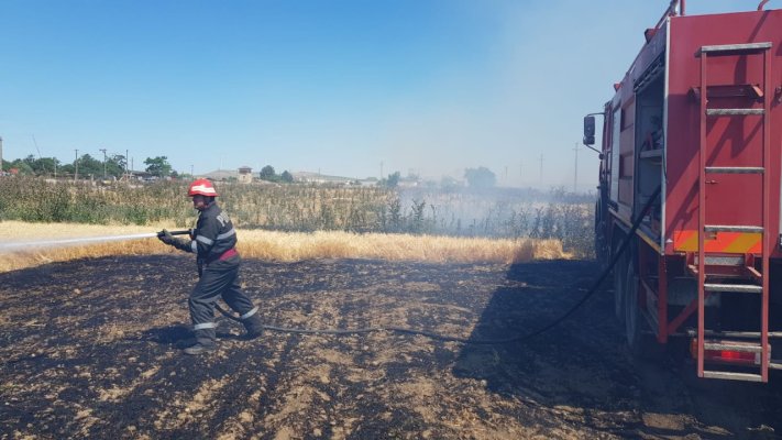 INCENDII în mai multe ZONE din CONSTANŢA: inclusiv în ZONA SERE