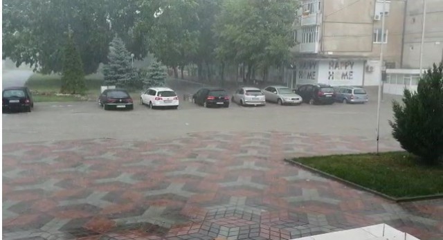 COD PORTOCALIU. RUPERE DE NORI la Medgidia. VIDEO