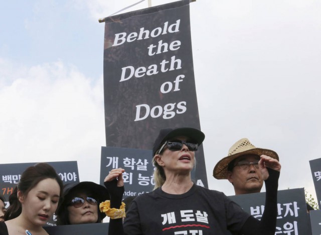 Actriţa Kim Basinger s-a alăturat protestului desfăşurat la Seul împotriva consumului de carne de câine