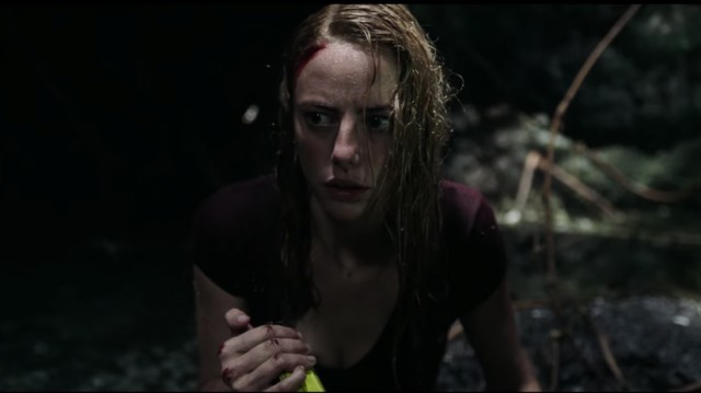 „Crawl“, un dezastru natural cu accente horror debutează pe marile ecrane din SUA
