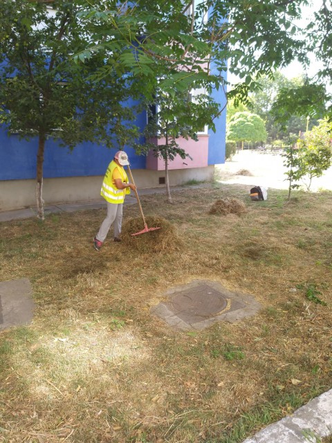 Doi avocați cer în instanță ANULAREA hotărârii de consiliu privind întreținerea și înfrumusețarea municipiului Constanța