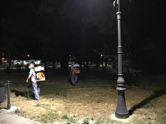 Continuă dezinsecția în municipiul Constanța!