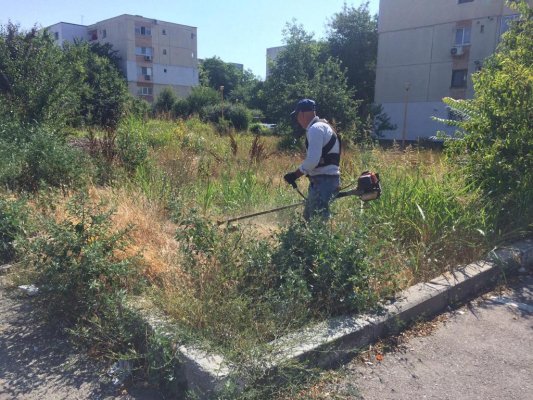 Spaţiile verzi degradate, în atenţia Primăriei Hârşova