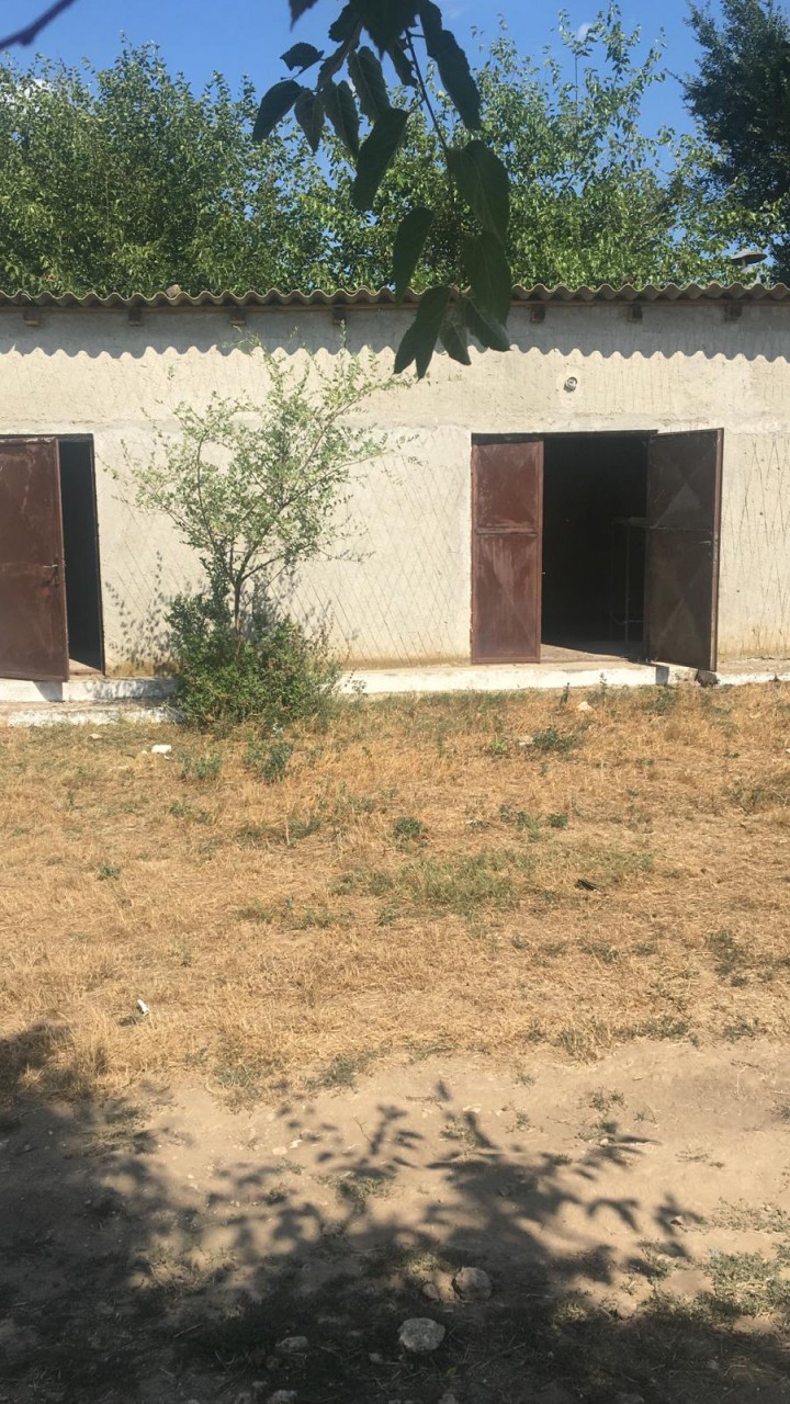 Azi ești proprietar, mâine nu: un fost consilier din cadrul Ministerului Finanțelor, în război cu primăria după ce a rămas fără un teren Azi ești proprietar, mâine nu: un fost consilier din cadrul Ministerului Finanțelor, în război cu primăria după ce a rămas fără un teren
