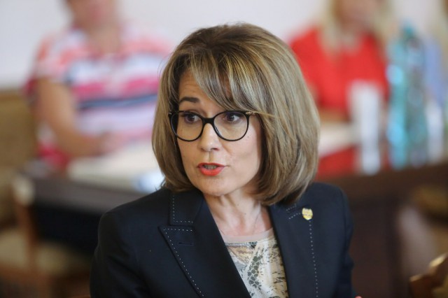 Nicoleta Pauliuc (PNL) a depus la Parlament un proiect privind relansarea industriei de apărare din România