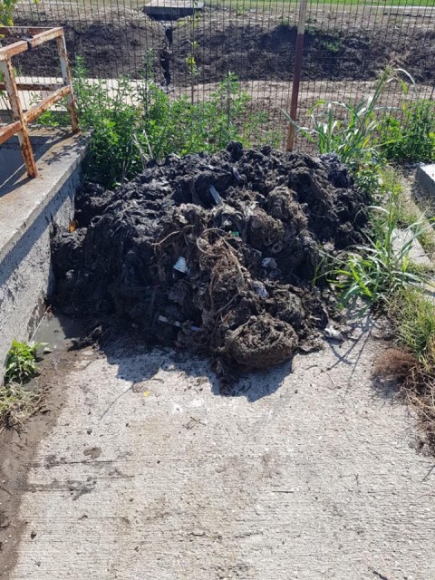 Apel pentru locuitorii din Valu lui Traian: Canalizări pline cu pampersi și cadavre de animale!
