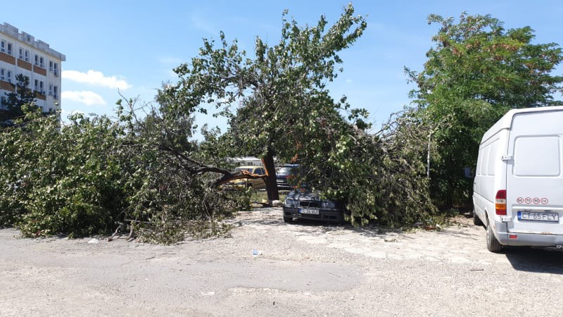 Primăria Constanţa, RITM DE MELC în acţiunile de înlăturare a efectelor furtunii de sâmbătă Primăria Constanţa, RITM DE MELC în acţiunile de înlăturare a efectelor furtunii de sâmbătă