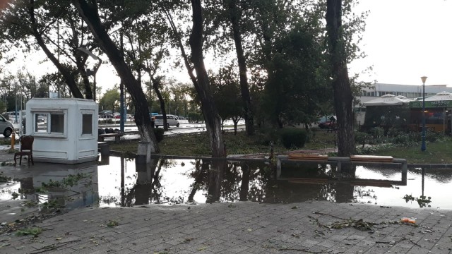 RAJA, intervenţie în mai multe zone ale oraşului şi în Mamaia
