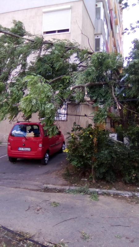 Primăria Constanţa invită cetăţenii care s-au trezit cu maşinile DISTRUSE de copaci să se adreseze instanţei de judecată! Primăria Constanţa invită cetăţenii care s-au trezit cu maşinile DISTRUSE de copaci să se adreseze instanţei de judecată!
