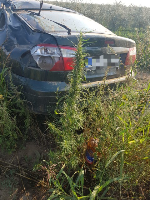 Accident rutier în Constanța: 3 persoane au fost rănite. VIDEO