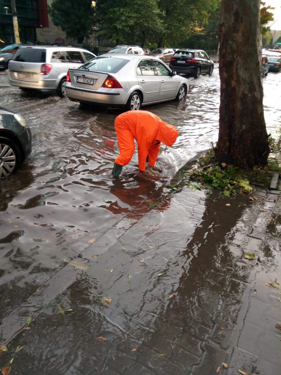 Primăria Constanța: APEL către toți constănțenii! Primăria Constanța: APEL către toți constănțenii!