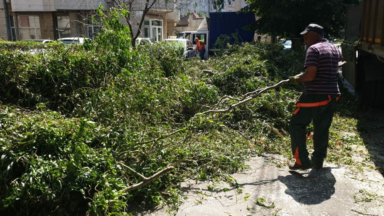 Primăria Constanţa anunţă că încă intervine după furtuna de sâmbătă Primăria Constanţa anunţă că încă intervine după furtuna de sâmbătă