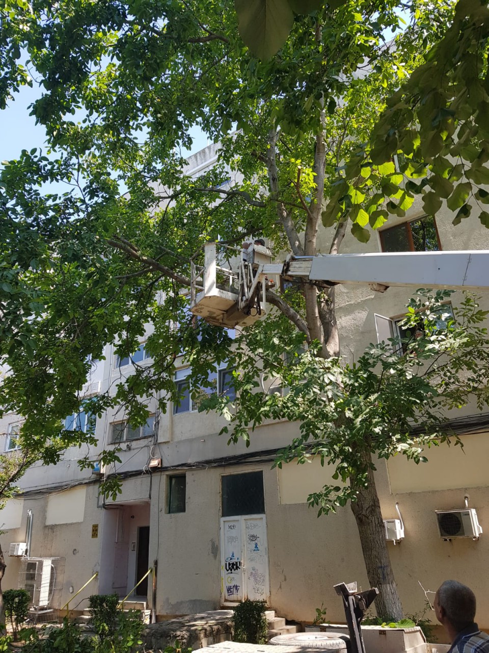 Primăria Constanța anunță că intervine pentru înlăturarea copacilor căzuți din cauza furtunii Primăria Constanța anunță că intervine pentru înlăturarea copacilor căzuți din cauza furtunii