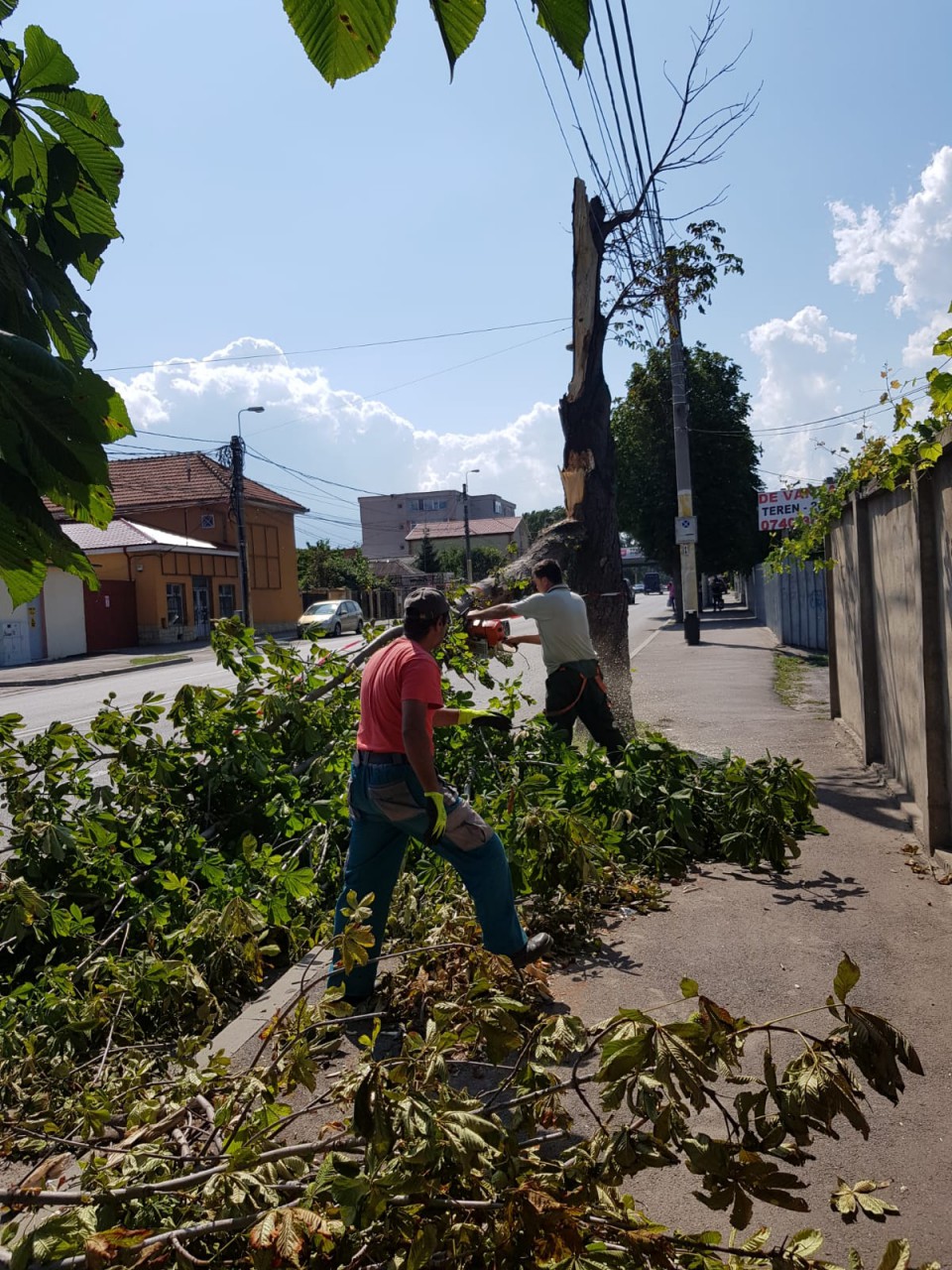Primăria Constanța anunță că intervine pentru înlăturarea copacilor căzuți din cauza furtunii Primăria Constanța anunță că intervine pentru înlăturarea copacilor căzuți din cauza furtunii