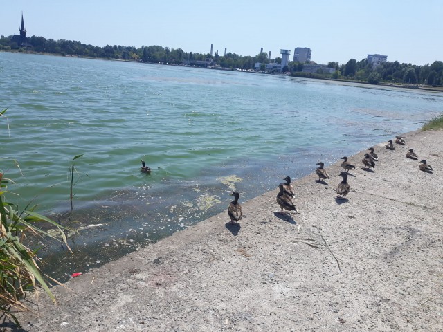 IDEI de la cetăţeni pentru Primăria Constanţa: ce ar trebui făcut în Parcul Tăbăcăriei