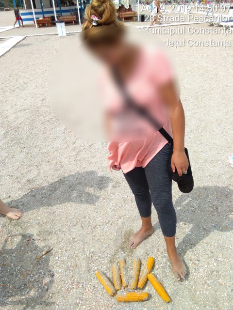 Polițiștii locali, RAZII în Mamaia: MAȘINI RIDICATE, operatori economici, 'ARȘI'!