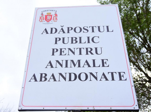 Adăpostul public pentru animale abandonate, închis pentru deratizare