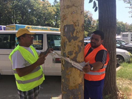 Primăria Constanța: fără afișaj stradal ilegal pe marile bulevarde!