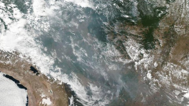 Imagini dramatice cu focul care distruge 20% din oxigenul Planetei. Pădurea amazoniană, declarată urgență internațională