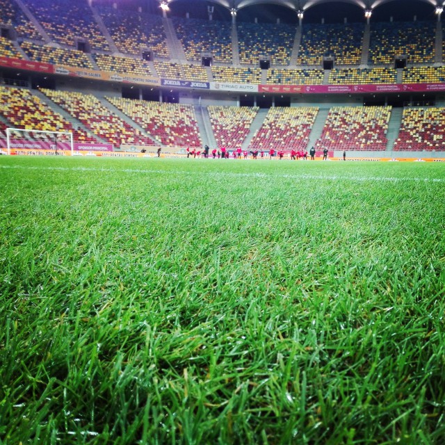 Gabriela Firea: Noul gazon de pe Arena Naţională a costat 240.000 de euro, UEFA a monitorizat montajul