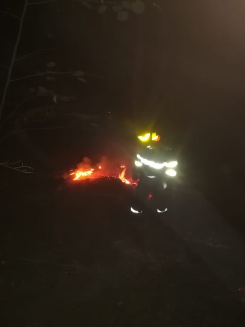 Incendiu în județul Tulcea!