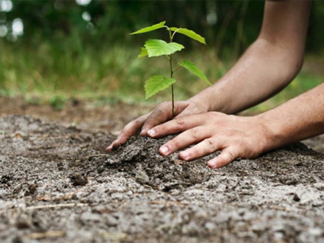 Venituri impresionante pentru Romsilva: Activitățile cinegetice și piscicultura aduc aproape 6,6 milioane de euro