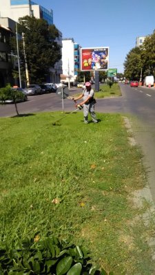 Primăria Constanța, acțiuni de igienizare a platformelor și a spațiilor verzi