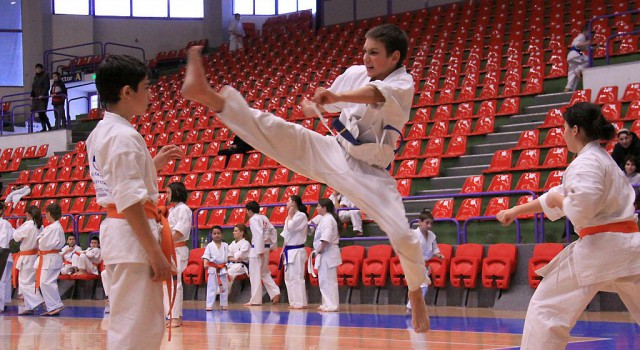Karate: Liviu Crişan (WUKF) - Obiectivul României la Campionatele Europene din Danemarca este locul 1 pe naţiuni
