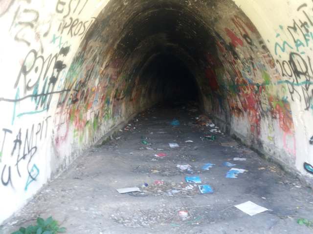 Parcul Tăbăcăriei: tunelul prin care trecea mocăniţa a devenit cuibul boschetarilor şi al 'artiştilor'