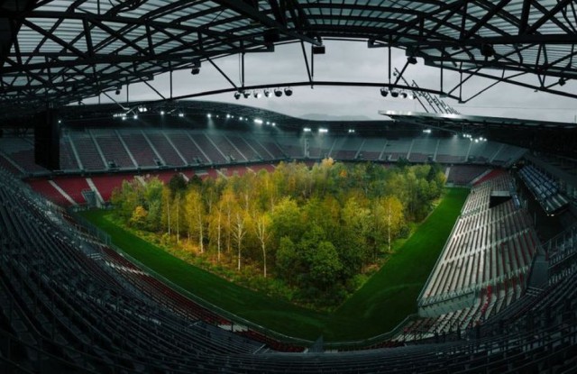 Imagini incredibile cu un stadion de la Euro 2008! O pădure a ocupat terenul de joc
