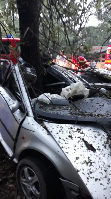 Accident rutier MORTAL la Valu lui Traian. VIDEO