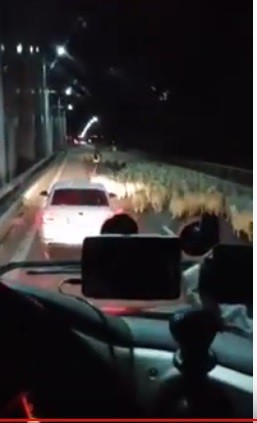 Transhumanță pe A2. O turmă de oi a blocat autostrada