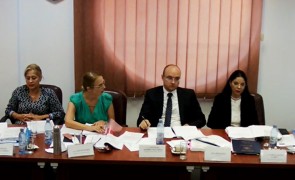 Ana Birchall o pune la PUNCT pe Lia Savonea: Modificarea legii ANI cere o analiză nu numai din perspectiva CSM