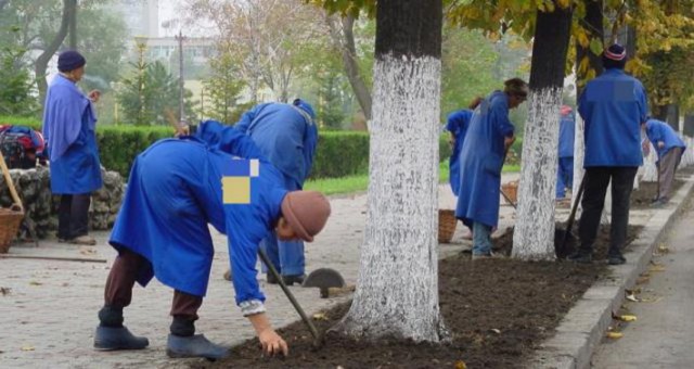 Atenție, constănțeni! Reîncepe campania 'Curățăm Constanța Noastră'!