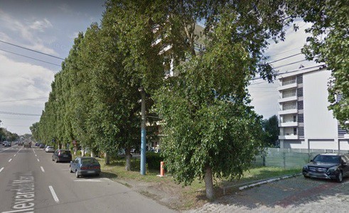 Proiectele de vânzare ale unor spații verzi din Mamaia, RETRASE de pe ordinea de zi a CLM!