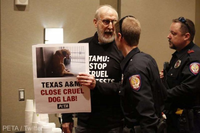Actorul James Cromwell, cunoscut din filmul „Babe“, arestat în timpul unui protest în favoarea animalelor