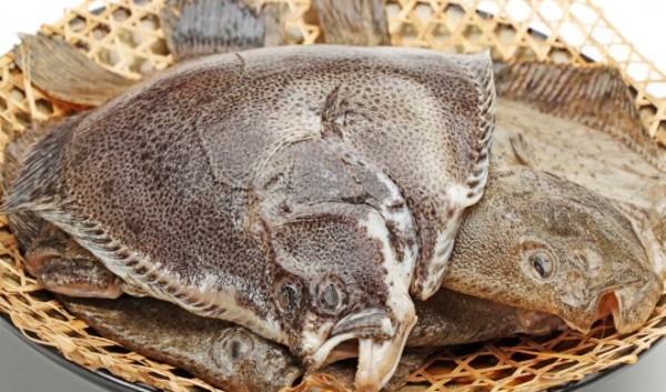 UE a majorat la 75 de tone cota de pescuit la calcan pentru România în 2020