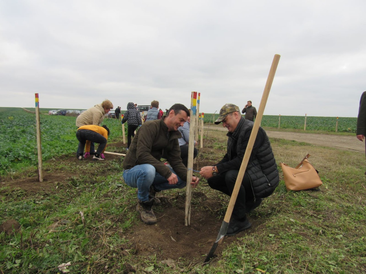 Au fost plantați 141 de puieți de stejar la limita dintre județele Constanța și Tulcea Au fost plantați 141 de puieți de stejar la limita dintre județele Constanța și Tulcea