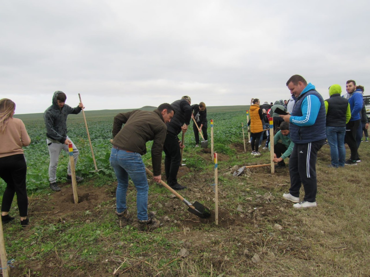 Au fost plantați 141 de puieți de stejar la limita dintre județele Constanța și Tulcea Au fost plantați 141 de puieți de stejar la limita dintre județele Constanța și Tulcea